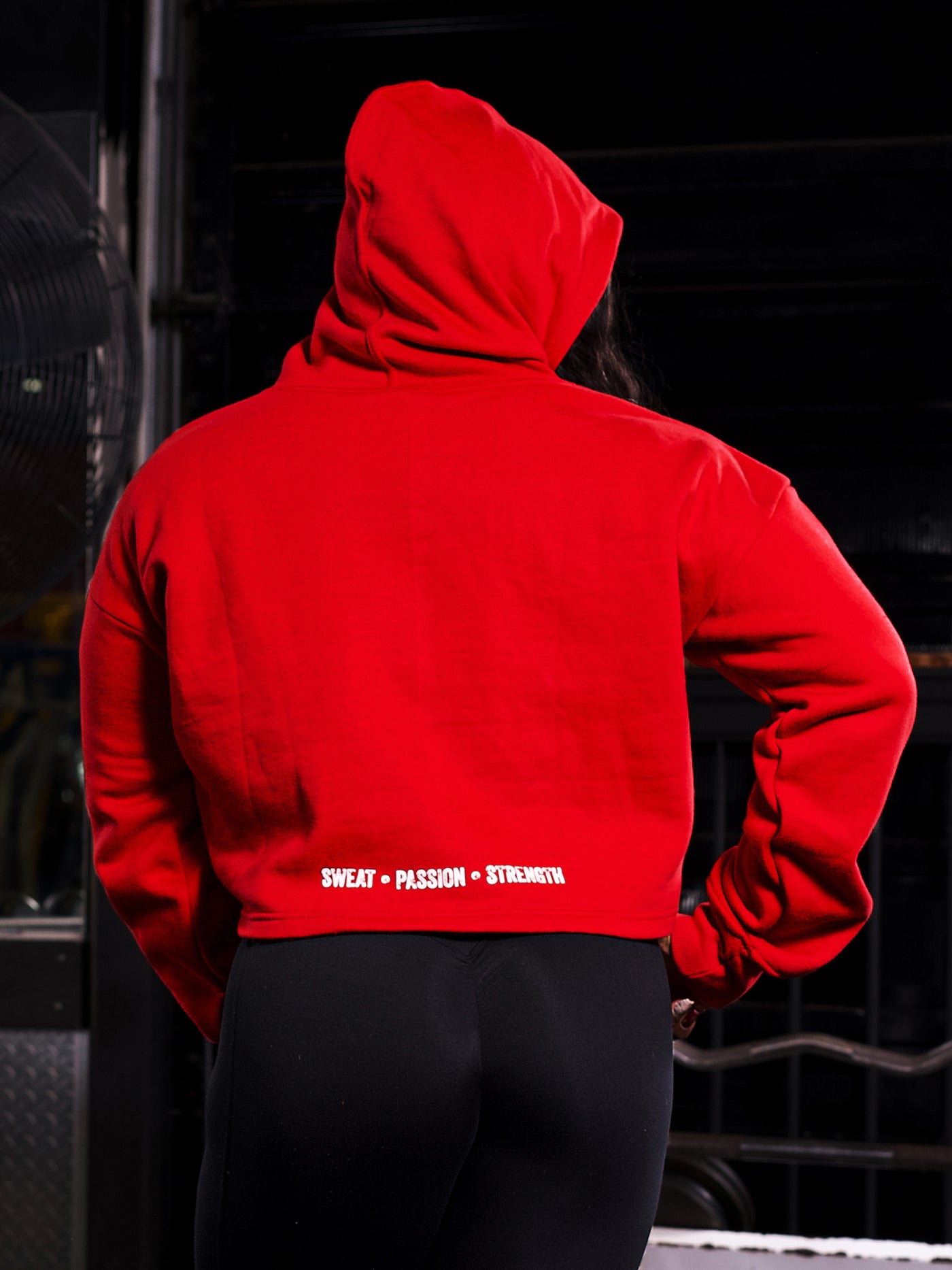 3-Pillar Gym Crop Hoodie (Red)